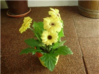 ee046707-anita 01 097.jpg